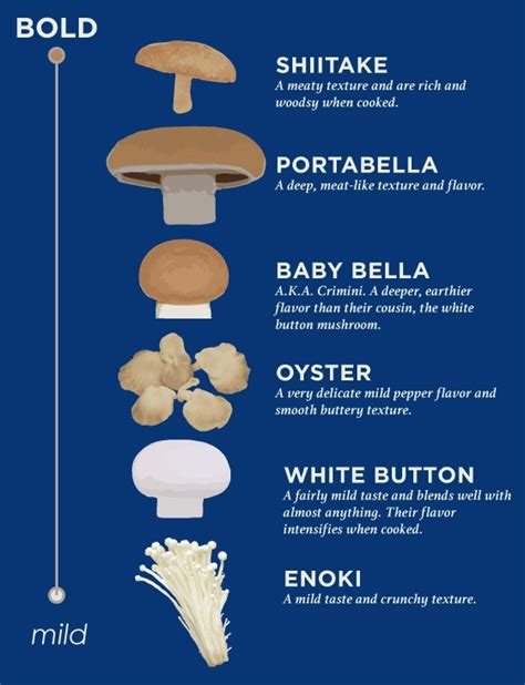 What are the negative effects of portabella mushrooms. Things To Know About What are the negative effects of portabella mushrooms. 